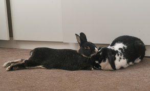 First slide